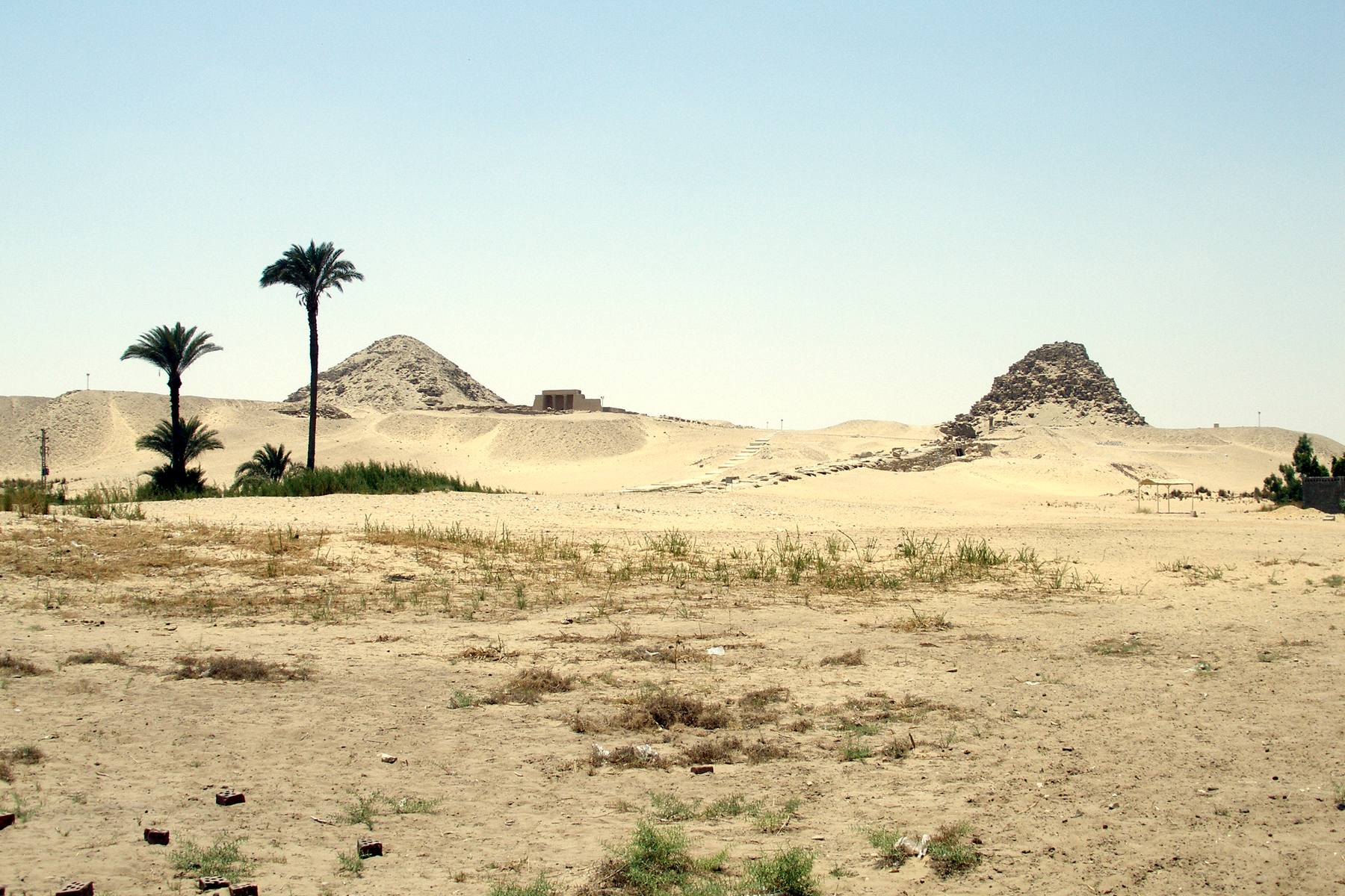 The Fifth Dynasty pyramids of Abusir rising beyond desert palms