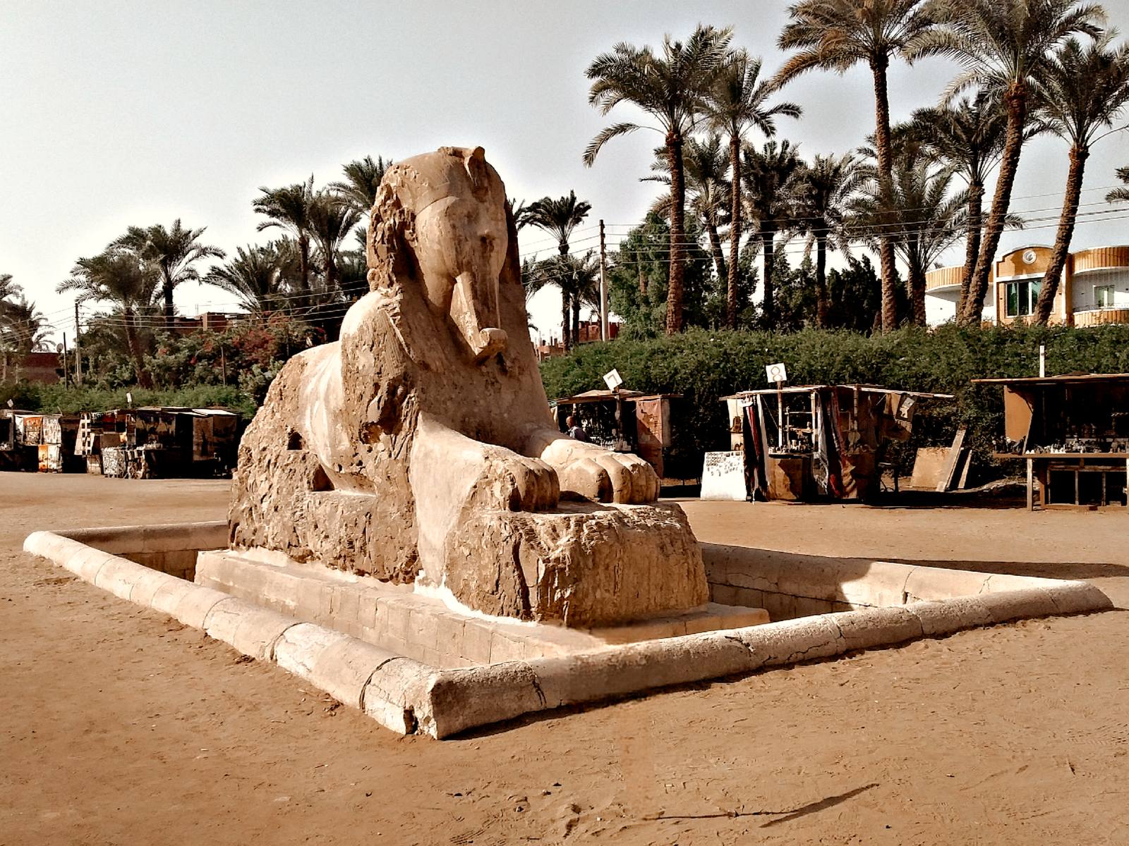 The great alabaster sphinx at Memphis (Mit Rahina)