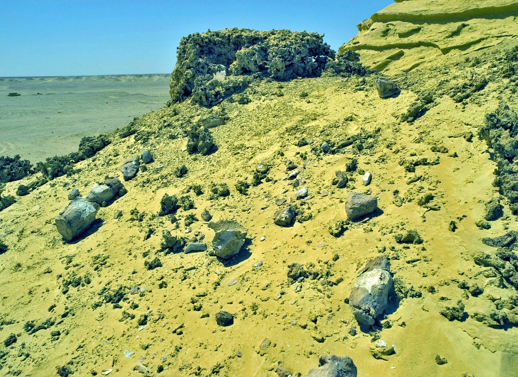 An ancient whale skeleton emerging from the sand at Wadi al-Hitan