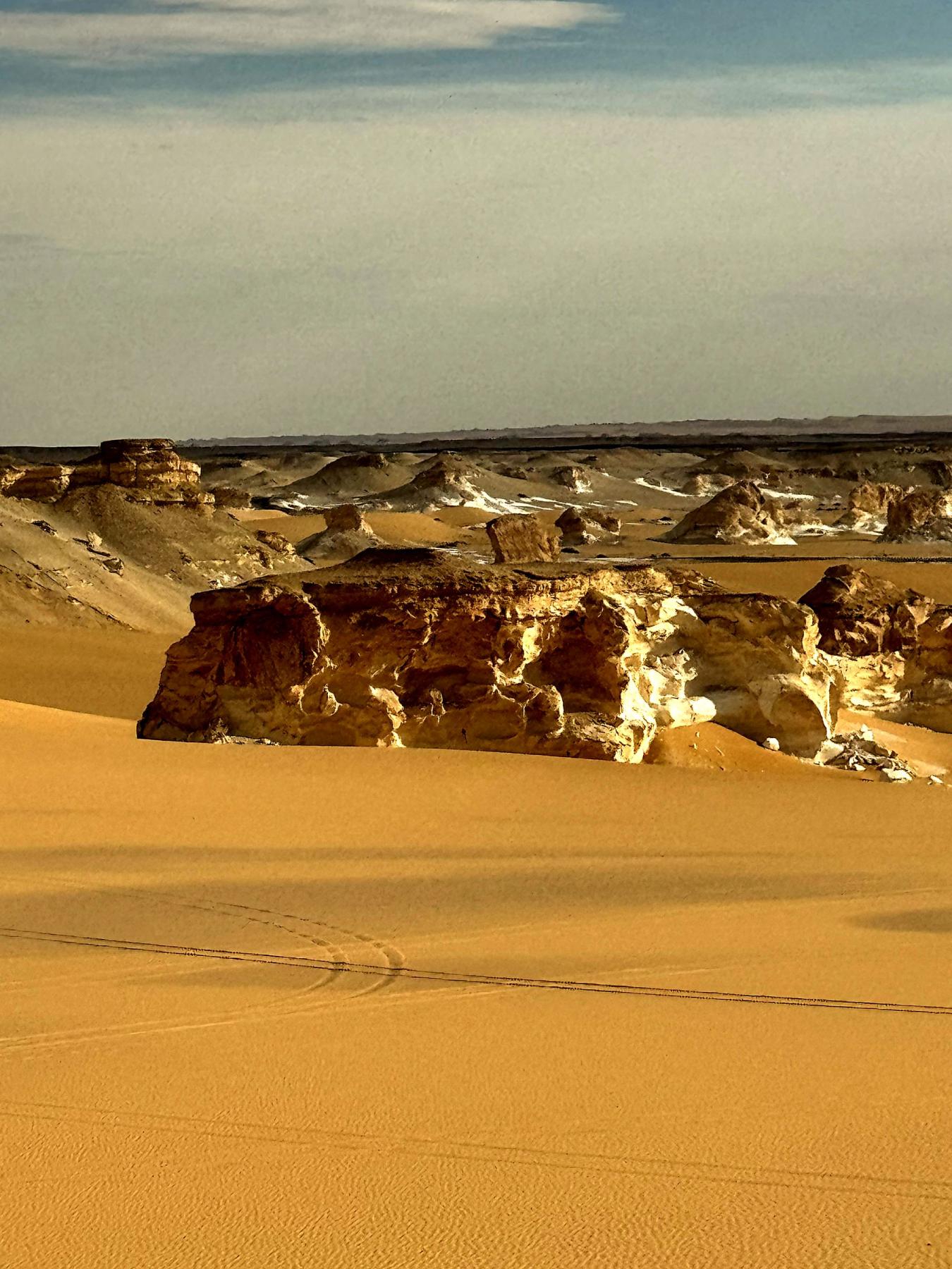 Sculpted limestone outcrops rising from golden Sahara sand