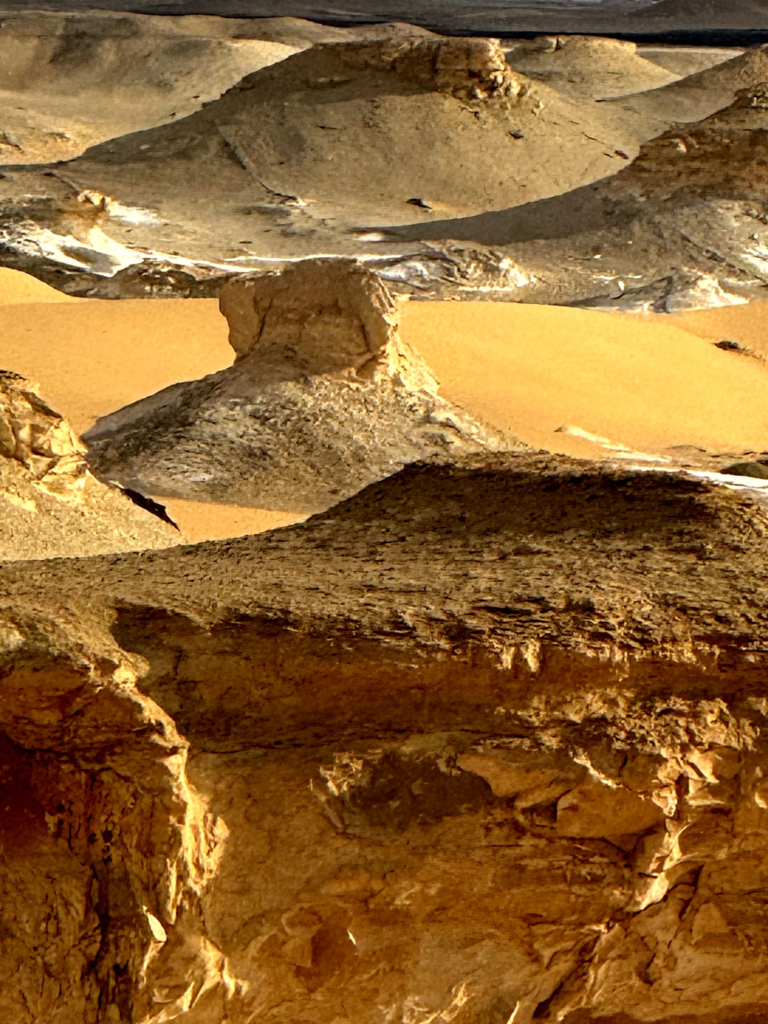 Golden chalk formations of Egypt's White Desert glowing in late light