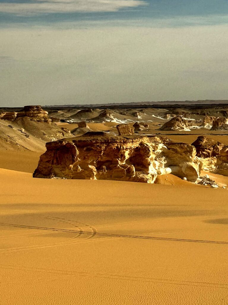 Sculpted limestone outcrops rising from golden Sahara sand