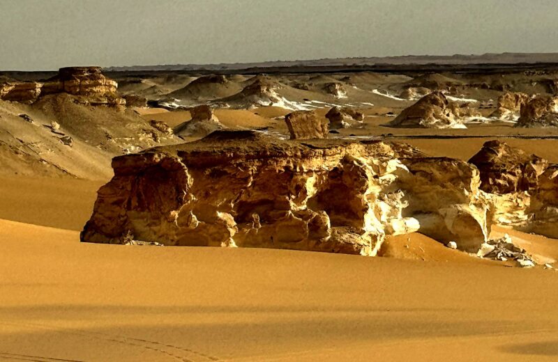 Sculpted limestone outcrops rising from golden Sahara sand