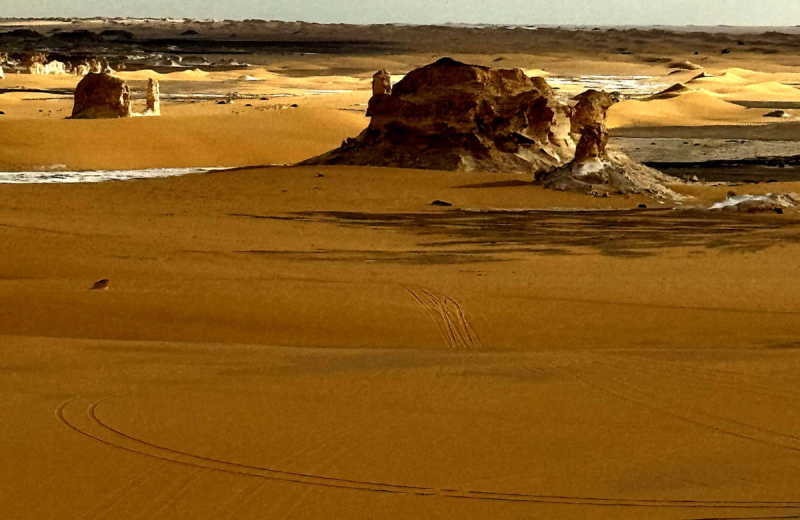 Vast golden sand stretching to the horizon in Egypt's Western Desert